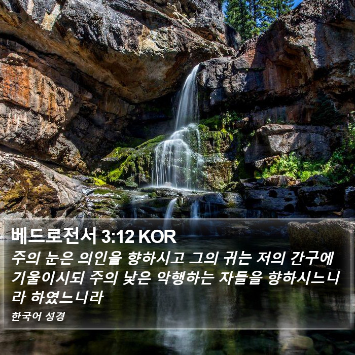 베드로전서 3:12 KOR Bible Study