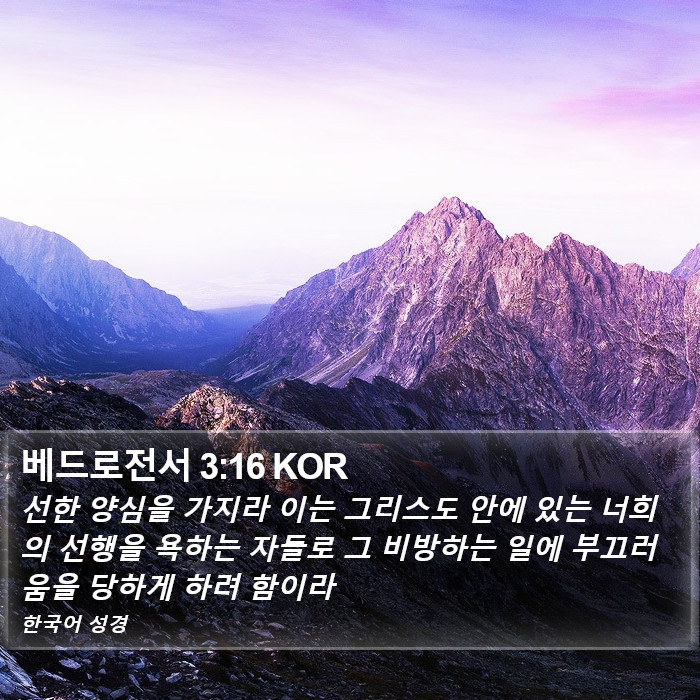 베드로전서 3:16 KOR Bible Study