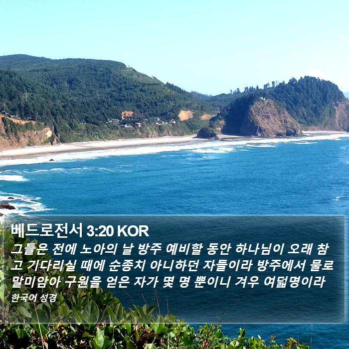 베드로전서 3:20 KOR Bible Study