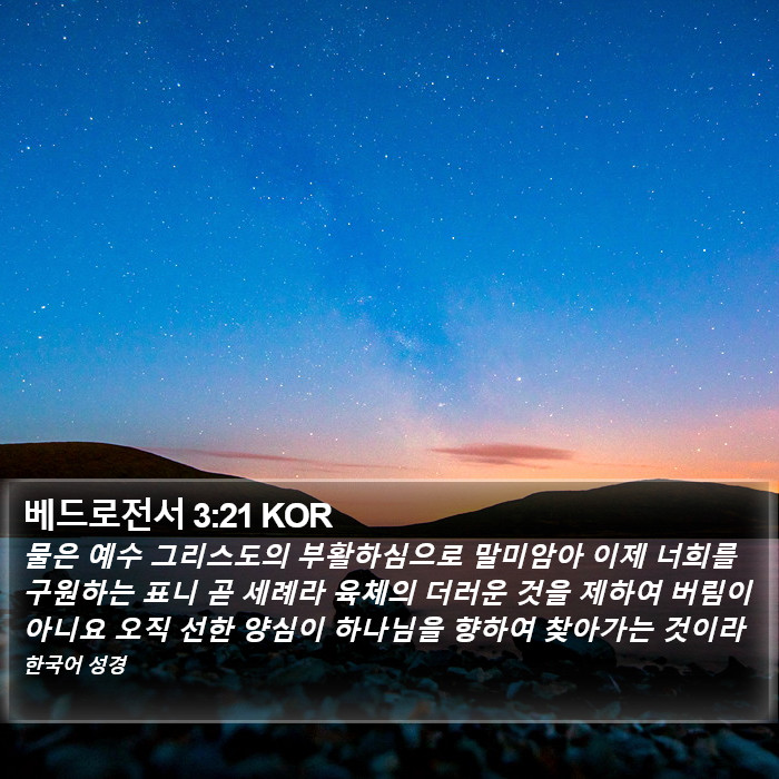 베드로전서 3:21 KOR Bible Study