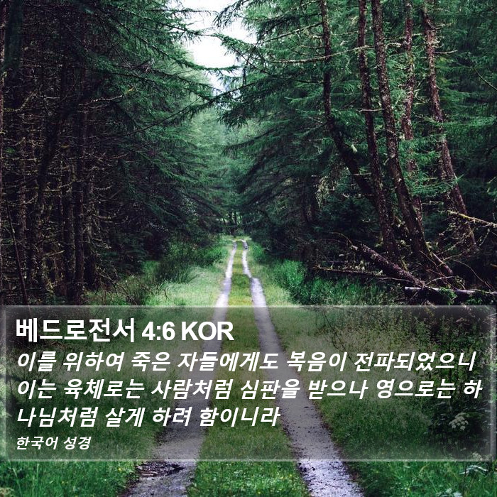 베드로전서 4:6 KOR Bible Study