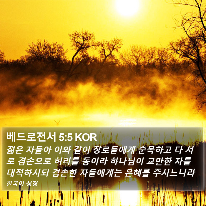 베드로전서 5:5 KOR Bible Study