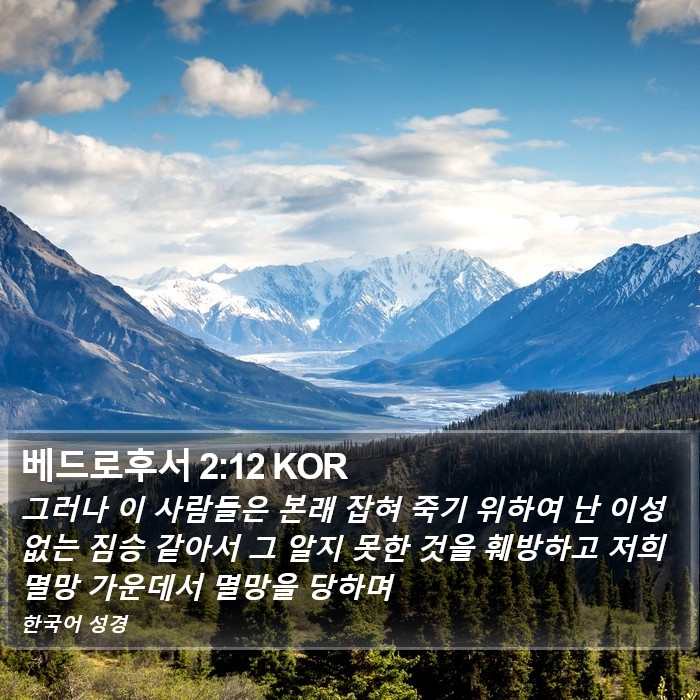 베드로후서 2:12 KOR Bible Study