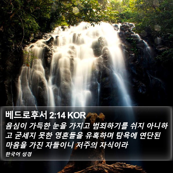 베드로후서 2:14 KOR Bible Study