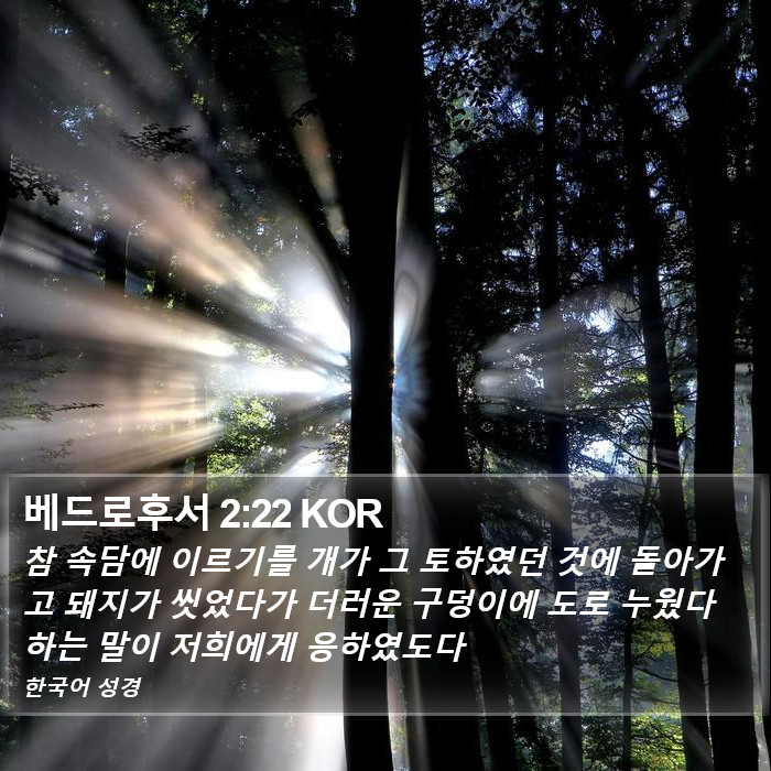 베드로후서 2:22 KOR Bible Study