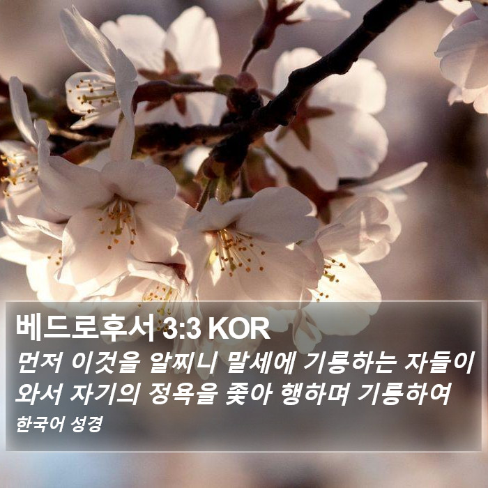 베드로후서 3:3 KOR Bible Study