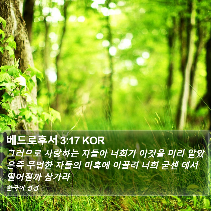 베드로후서 3:17 KOR Bible Study