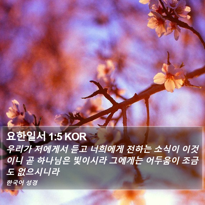 요한일서 1:5 KOR Bible Study