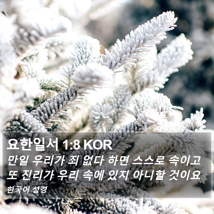 요한일서 1:8 KOR Bible Study