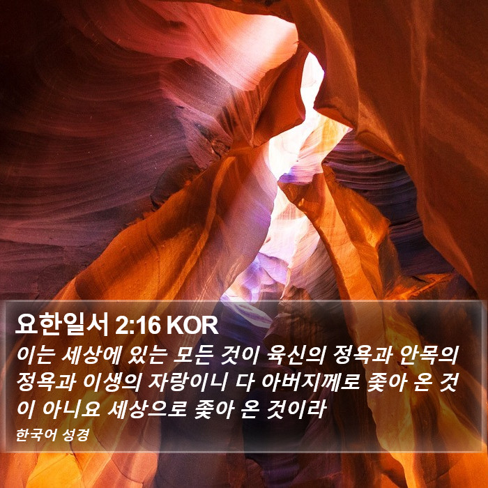 요한일서 2:16 KOR Bible Study