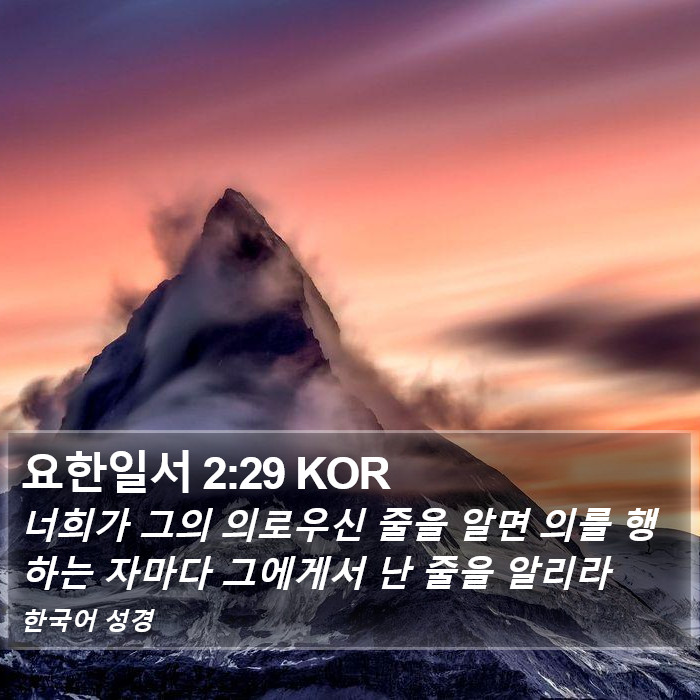 요한일서 2:29 KOR Bible Study