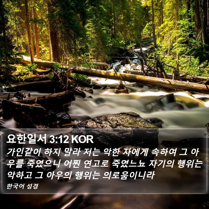 요한일서 3:12 KOR Bible Study