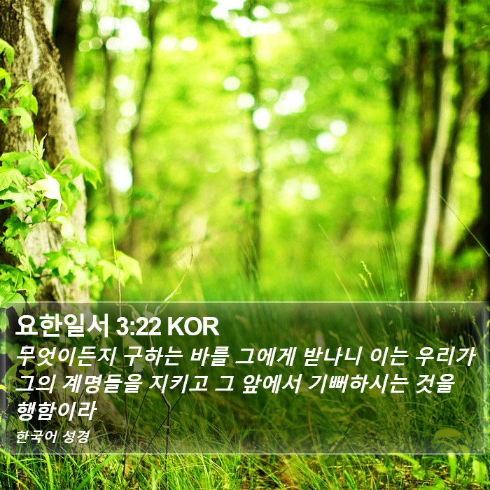 요한일서 3:22 KOR Bible Study