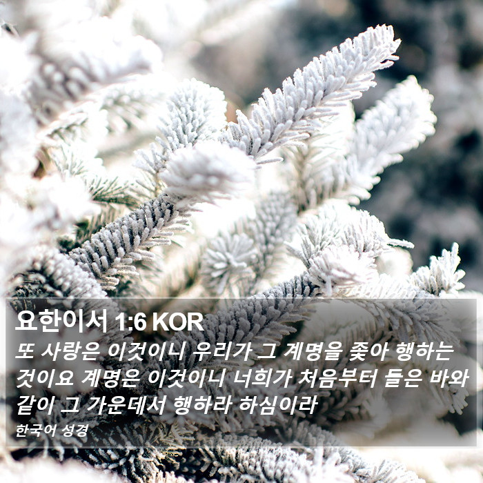 요한이서 1:6 KOR Bible Study