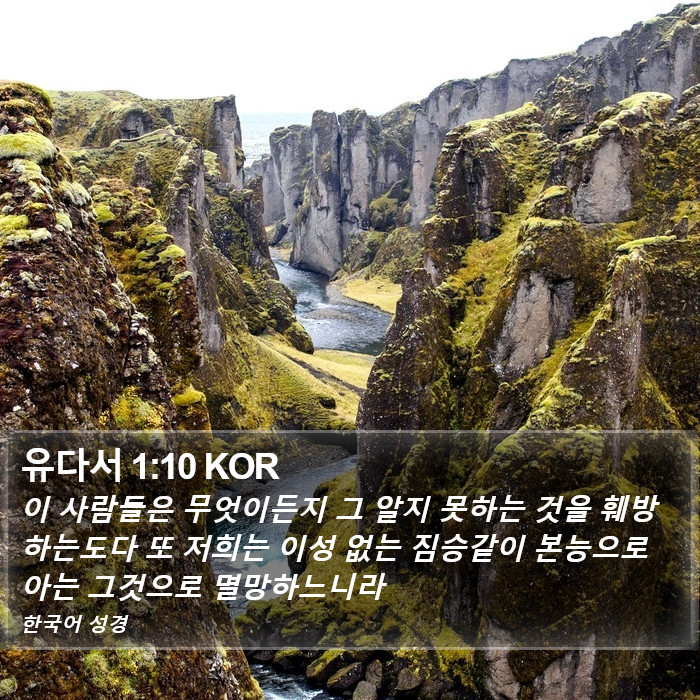 유다서 1:10 KOR Bible Study