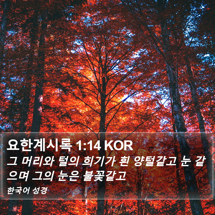 요한계시록 1:14 KOR Bible Study