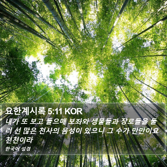 요한계시록 5:11 KOR Bible Study