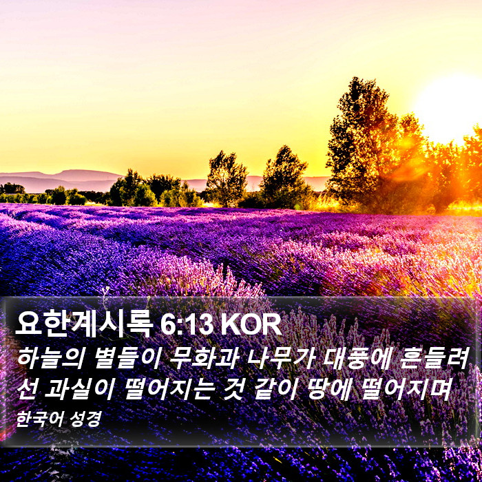 요한계시록 6:13 KOR Bible Study