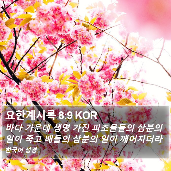 요한계시록 8:9 KOR Bible Study