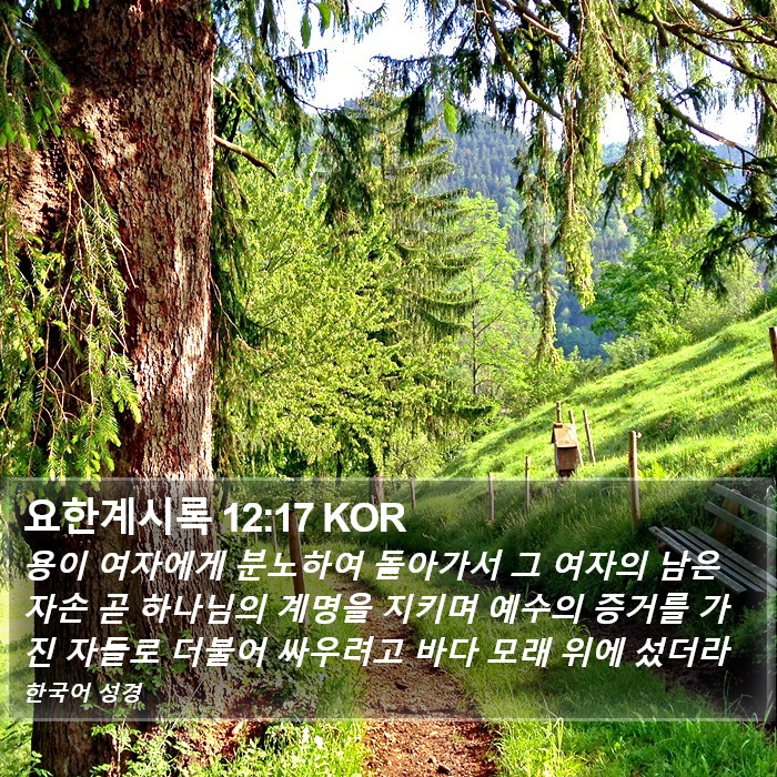 요한계시록 12:17 KOR Bible Study