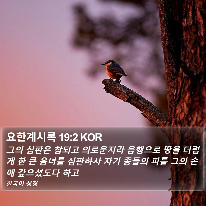 요한계시록 19:2 KOR Bible Study