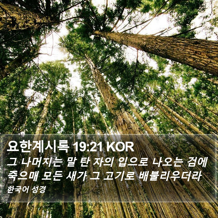 요한계시록 19:21 KOR Bible Study