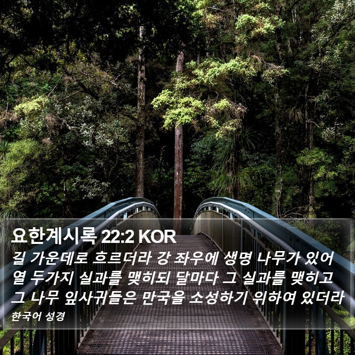 요한계시록 22:2 KOR Bible Study